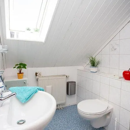 Ferienwohnung-anemone-mit-bergblick 아파트 브라운라제